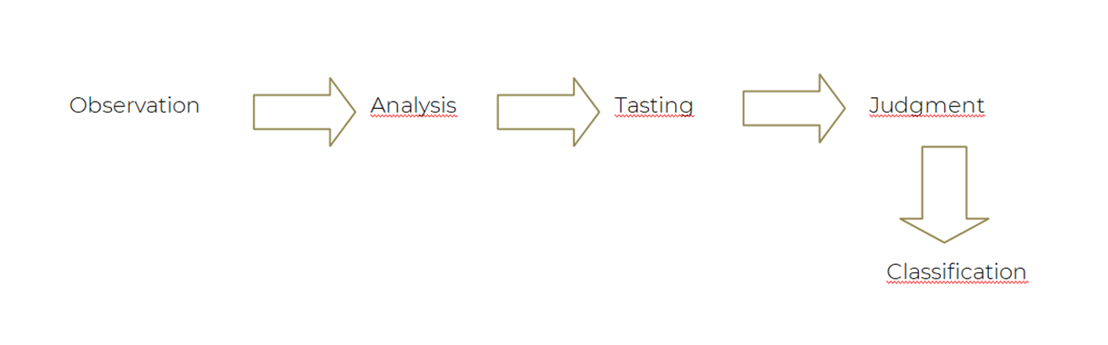 Phases of a Ham Tasting Phases of a Ham Tasting
