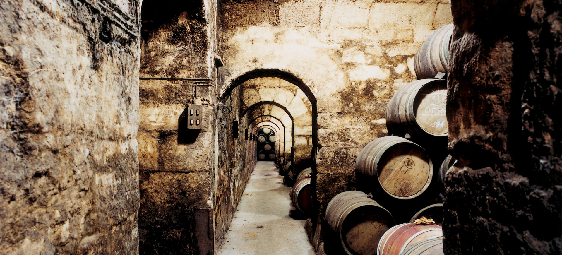 VIP Trip and experiences in La Rioja