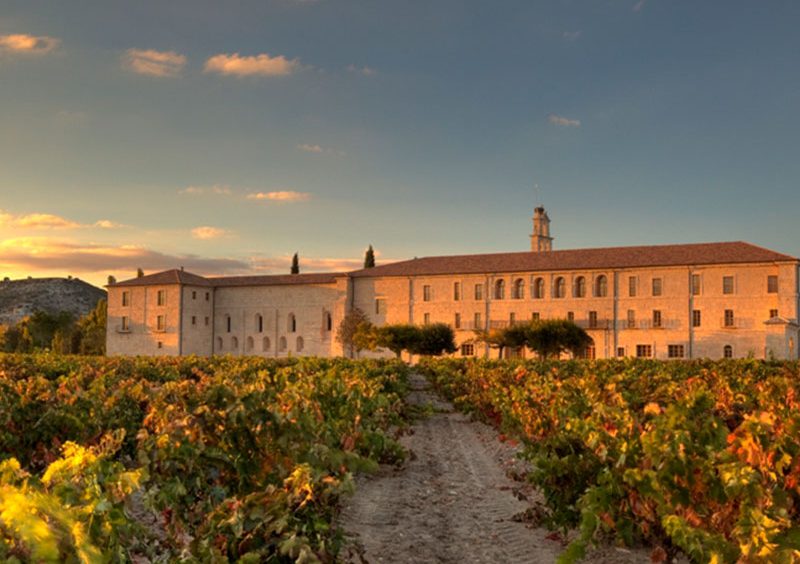 img-ribera-duero img-ribera-duero