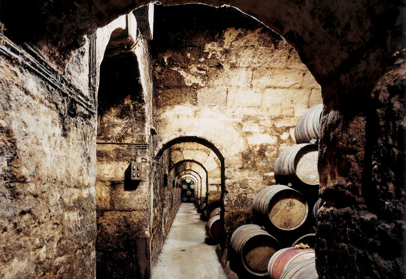 VIP Trip and experiences in La Rioja