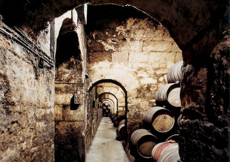 VIP Trip and experiences in La Rioja
