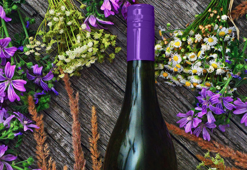 Discover Spanish wines through a Sensory Wine Tasting.