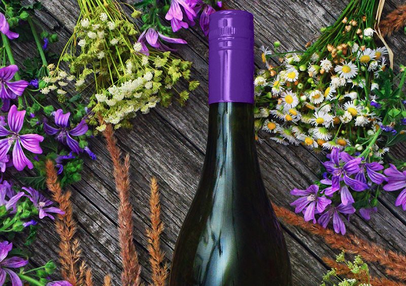 Discover Spanish wines through a Sensory Wine Tasting.