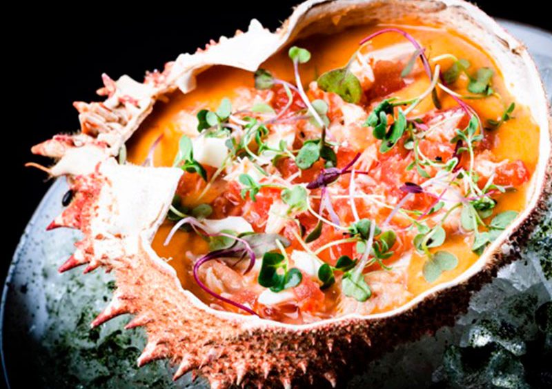 Experiencias Gourmet en Espana foto Luxury Culinary Experiences in Spain