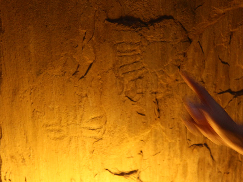 viaje-arqueologico en España y Portugal de la mano de arqueologos y excavadores que han descubierto yacimientos
