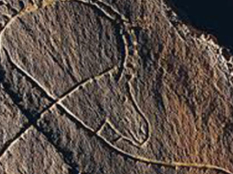 viaje en el tiempo guarda portugal