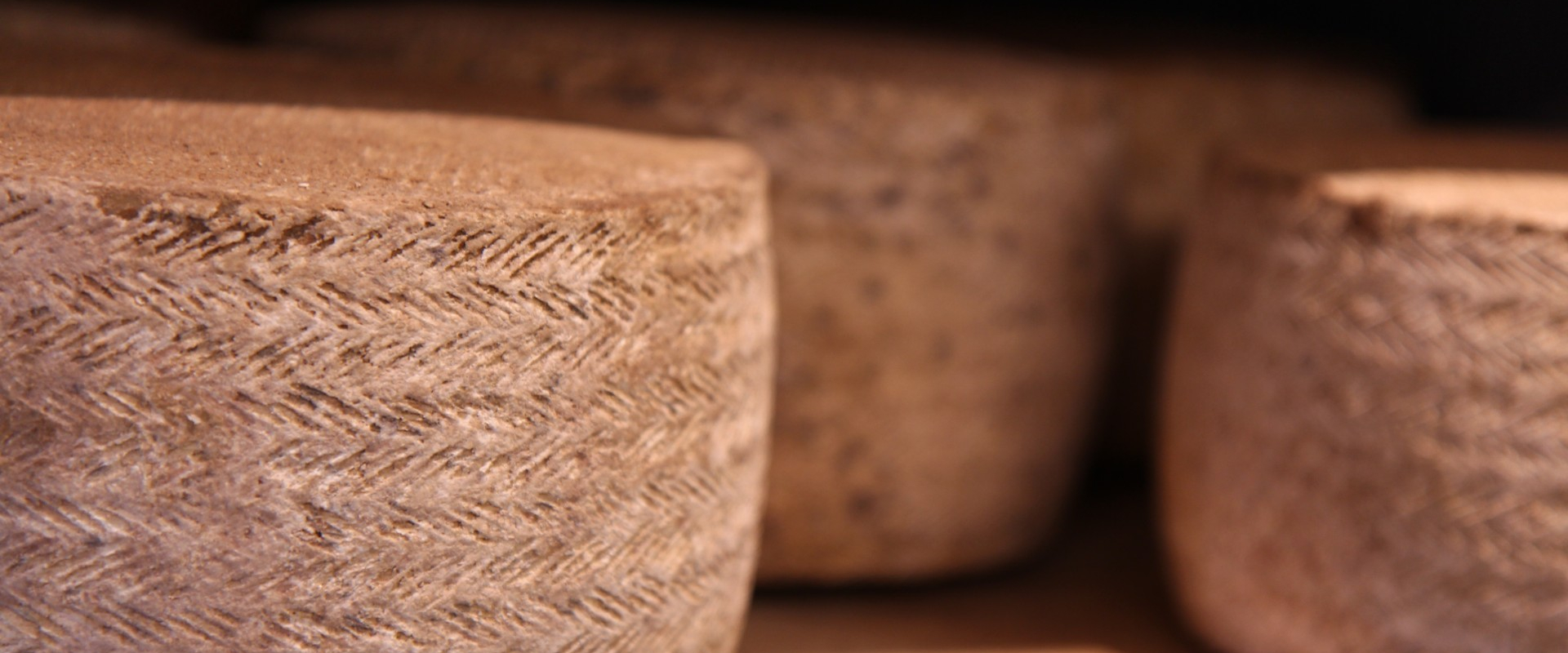 Cata de quesos, Cheese tasting, the best cheese in Spain.